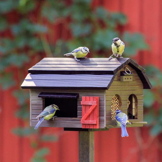 Vogel-Futterstation
